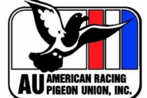 American Racing Pigeon Union | AU | ARPU