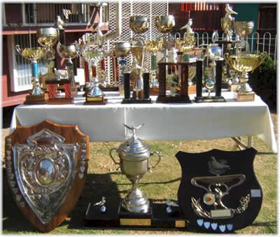 Champion Pigeon Racing Fancier Chris Smith Trophies