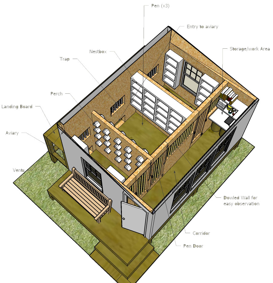 Necessary Elements Of A Champion Pigeon Racing Loft Winning Pigeon   Loft Breakdown 