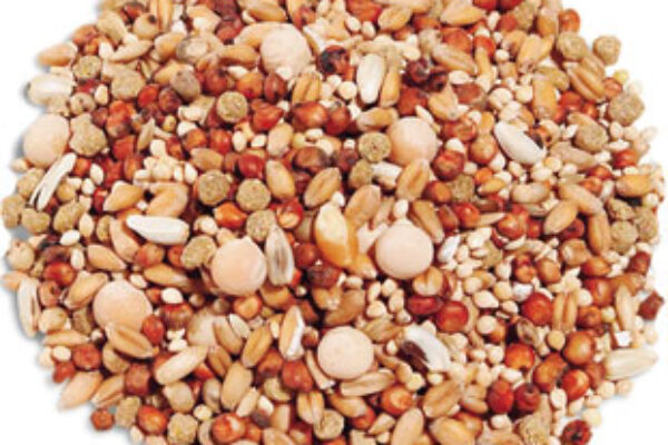 Grains, Fuel and Pigeon Racing Protein, Carbs & Fats