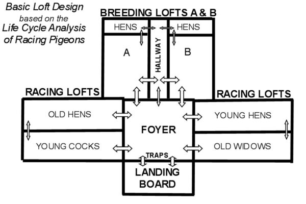 Loft Construction and Design