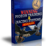 Winning Pigeon Training and Racing Systems
