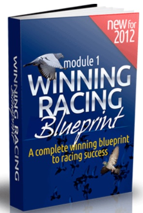 Pigeon Racing Blueprint