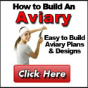 How to build an aviary: Easy to build aviary plans & designs . Click here.