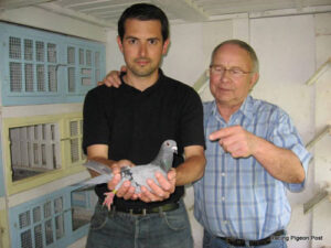 pigeon racing partnerships