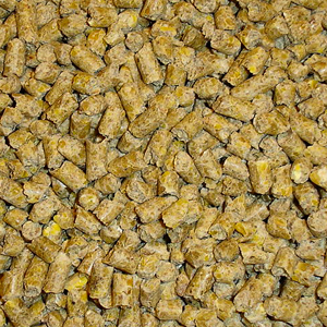 pigeon pellets for gamefowl