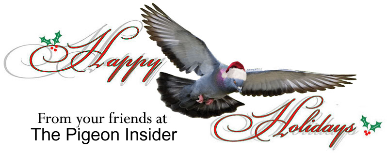 Happy Holidays from The Pigeon Insider