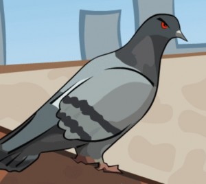 Pigeon Racing Game