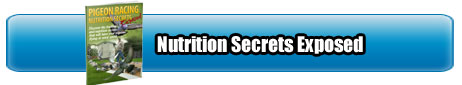 Nutrition-Secrets