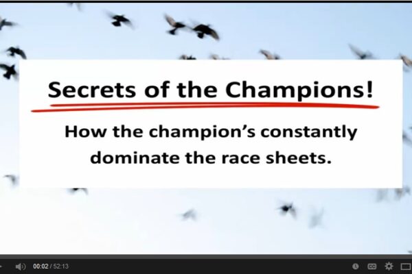 *Video* The Secret’s of The Champion’s
