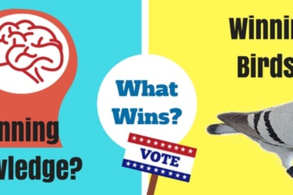 Vote Now: Winning Knowledge -VS- Winning Birds